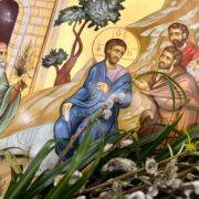 Вербна неділя: символіка та значення для християнства