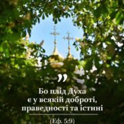 Єпископ Команський Михаїл: “Справжнє чудо – це перетворення нашої душі”
