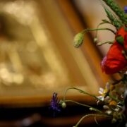 Скорбна трагедія: Російський агресор забрав життя невинної дитини