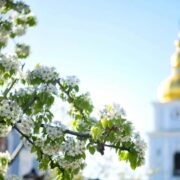 Надія на Господа: віра, сподівання та милосердя