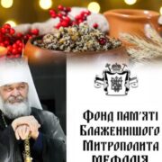 Зміцнення духовної безпеки: зустріч ВРЦіРО з главою держави