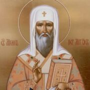 Червоногородський замок потребує захисту: невизначений статус святині створює ризики для її збереження